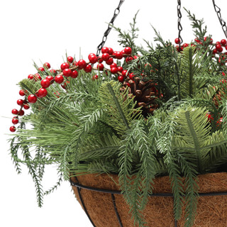 Thumbnail 4: Magical Season 22 In Christmas Berries & Pinecones Hanging Basket 