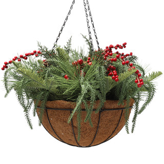 Thumbnail 1: Magical Season 22 In Christmas Berries & Pinecones Hanging Basket 