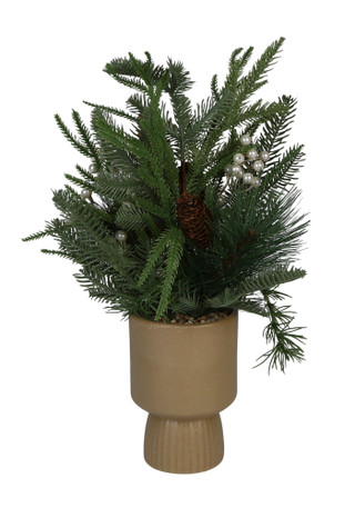 Thumbnail 1: Magical Season 20 in Christmas Fir with Pinecones & Berries in Ceramic Pot 