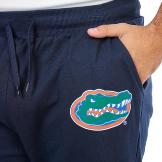 Thumbnail 3: Florida Gators Men's Florida Gators Fleece Pants 