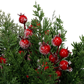 Thumbnail 2: Magical Season 12 In Berry Pine Christmas Arrangement in Ceramic Pot 