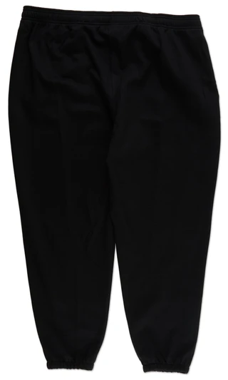 Thumbnail 2: Champion Big Men's Active Powerblend Fleece Jogger Pants 