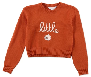 Thumbnail 1: Magical Season Girls Little Harvest Knit Long Sleeve Sweater 