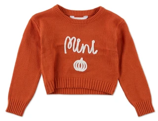 Thumbnail 1: Magical Season Little Girls Mini Harvest Knit Long Sleeve Sweater 