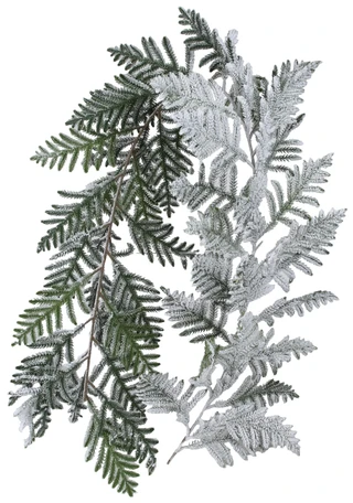 Thumbnail 1: . 72 in Snowy Pine Christmas Garland 