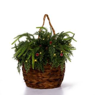 Thumbnail 1: Rustic Glam 13x10x15 LED Christmas Evergreen Hanging Basket Wall Accent 