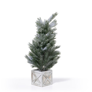 Thumbnail 1: . Snow Pine Potted Floral Arrangement 