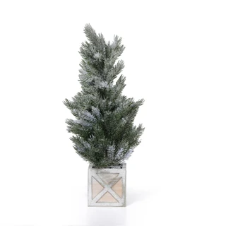 Thumbnail 2: . Snow Pine Potted Floral Arrangement 