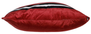 Thumbnail 2: South Carolina Gamecocks 20x26  Plush Game Day Team Throw Pillow 