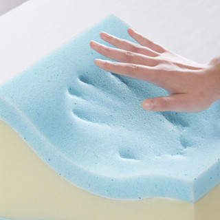 Thumbnail 10: Sleep Philosophy Sleep Philosophy Memory Foam Knee Pillow 