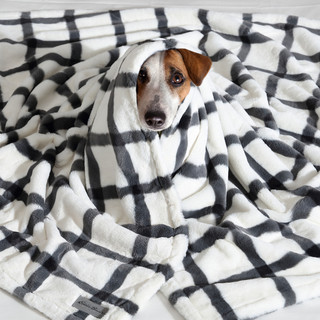 Thumbnail 8: Eddie Bauer Eddie Bauer Bunkhouse Plaid Fur Like Throw Blanket 