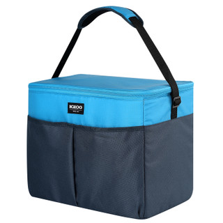 Thumbnail 2: Igloo Igloo Essential 24 Quart Cooler 