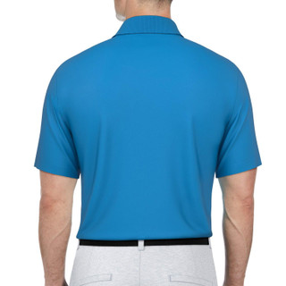 Thumbnail 4: SPRING BLUE
