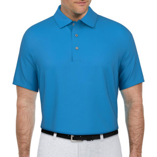 Thumbnail 2: SPRING BLUE