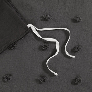 Thumbnail 11: CHARCOAL