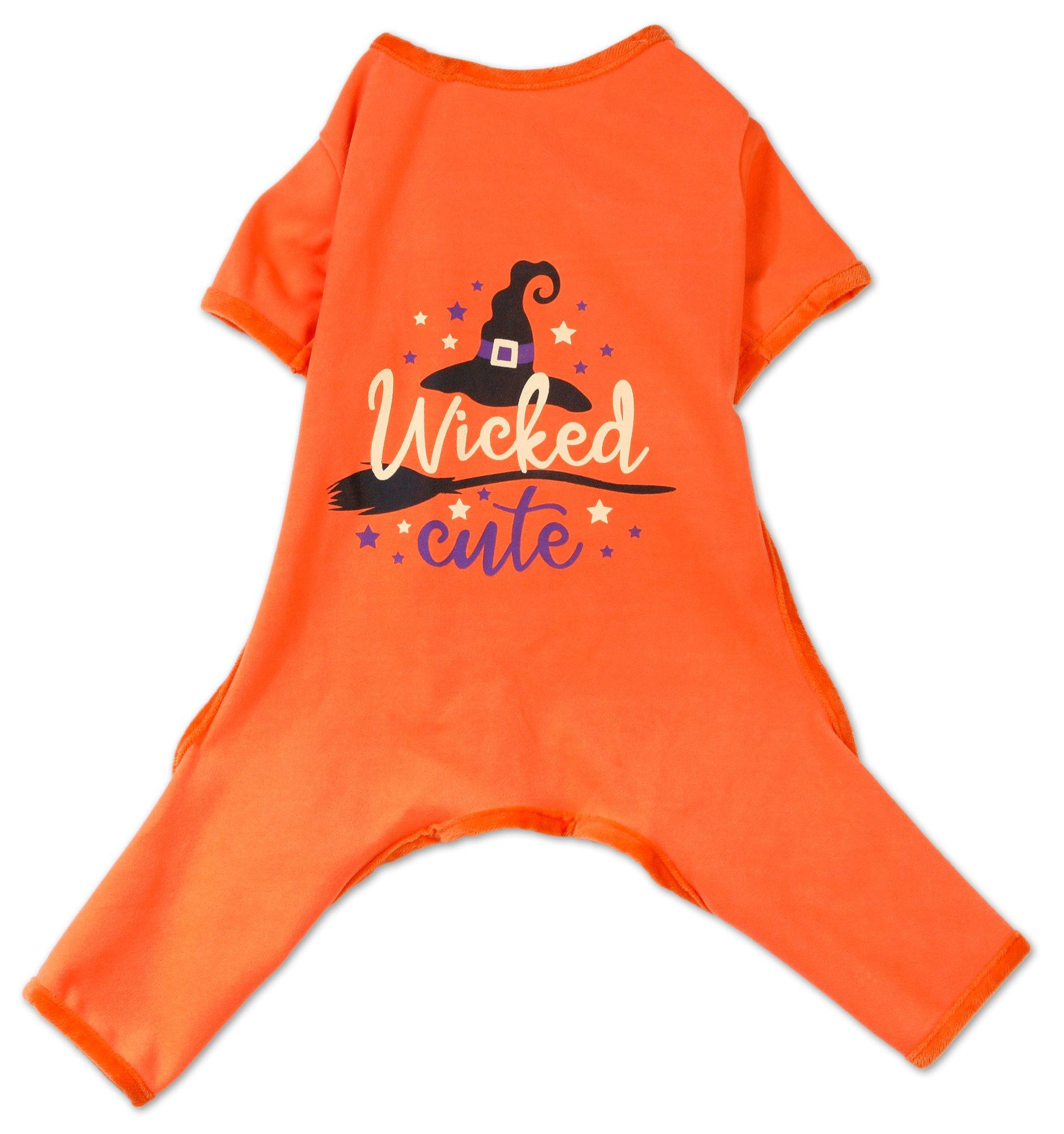 Halloween Wicked Cute Pet Shirt Bealls
