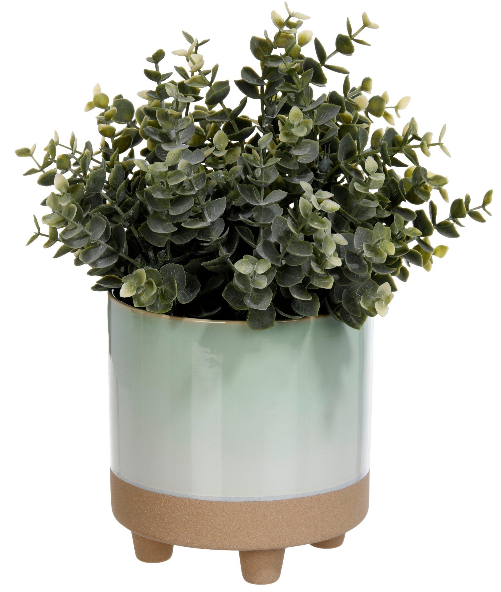 Flora Bunda 13 in Decorative Eucalyptus Plant