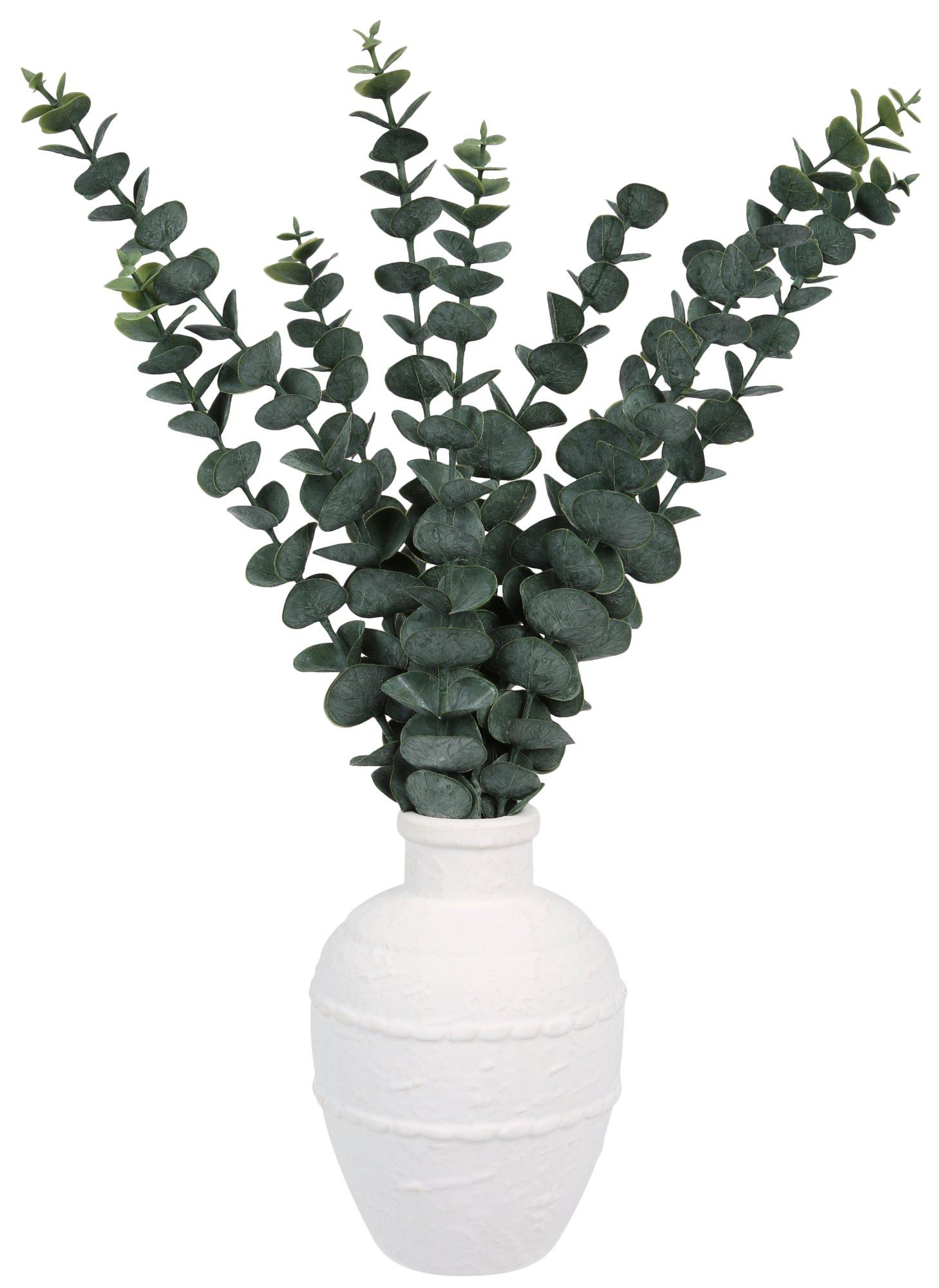 19 in Decorative Eucalyptus Plant