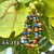 Our unisex lava diffuser beaded stretch bracelets are made for the guys with their larger size, metal-free beading combination of lava, wood, and glass beads, and they look awesome on the ladies, too! Our unisex lava diffuser beaded stretch bracelets are made for the guys with their larger size, metal-free beading combination of lava, wood, and glass beads, and they look awesome on the ladies, too!