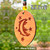 AAOTE's Moonlit Flight Collection AAOTE's Moonlit Flight Collection