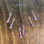 RTS Red White Blue