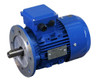Continental/Balltrap Input Motor