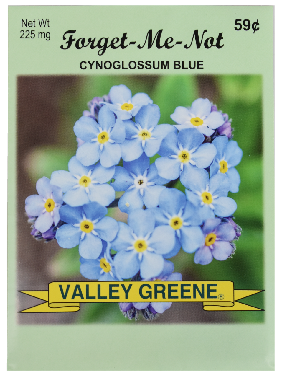 Bulk Forget Me Not Seeds - 25, 50, 100 Packs - Great for Creating Your  Dream Garden - DIY Tool Supply
