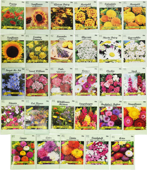 Set of 25 Flower Seed Packets! Flower Seeds in Bulk - Great for Creating The Garden of Your Dreams!