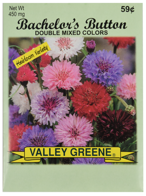 Bulk Bachelors Button Seeds - 25, 50, 100 Packs - Great for Creating Your Dream Garden