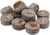 Set of Netted Coco Coir Pellets - 38mm - Seed Starter Pellets - Expands with Water - Provides Seeds with The Optimum Starting Soil