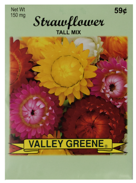 Bulk Strawflower Tall Seeds - 25, 50, 100 Packs - Great for Creating Your Dream Garden