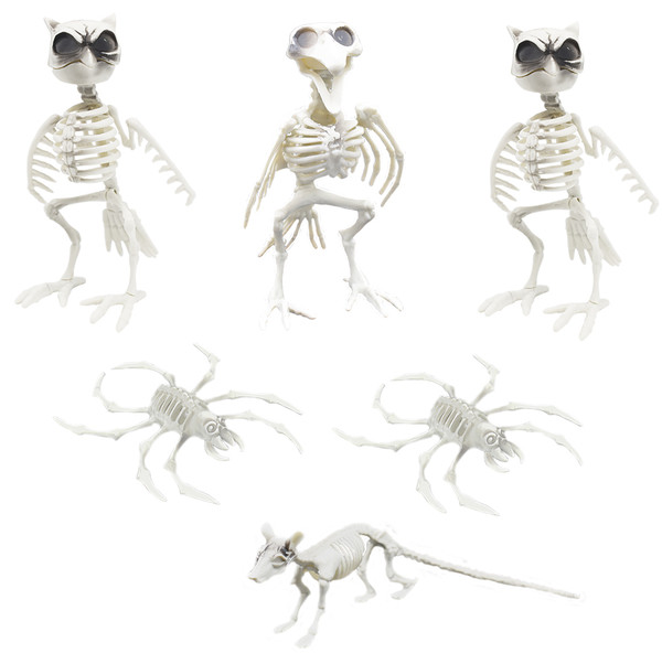 Set of Assorted Decorative Halloween Skeletons! Owl, Crow, Rat, and Spider! Great for Parties and Seasonal Decor!