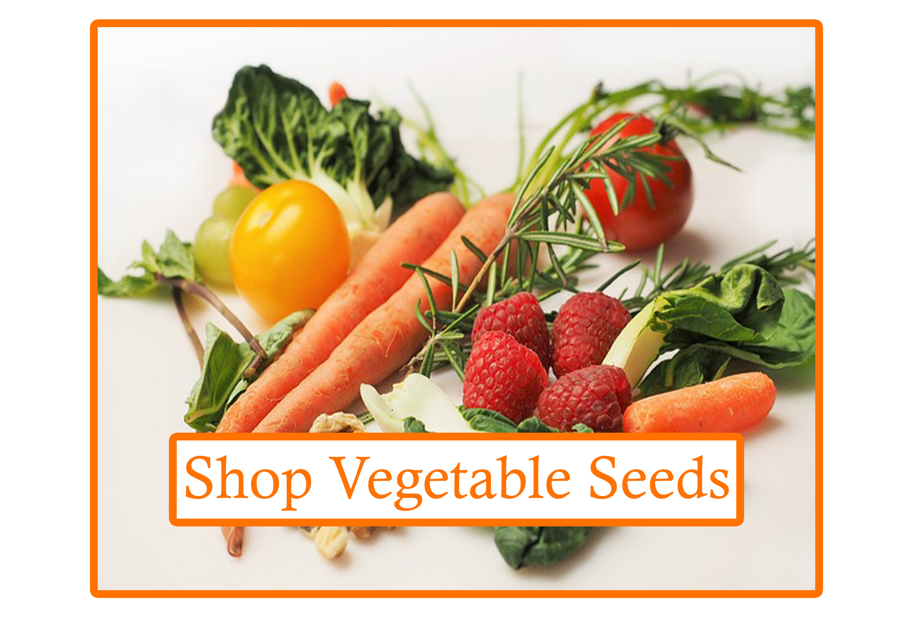 "shop vegetable seeds" Alt image of vegetables