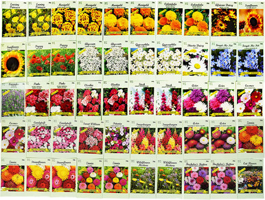 Set of 100 Assorted Current Year Valley Green Flower Seed Packets