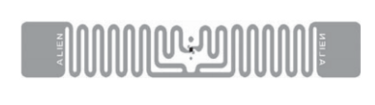 Disable squiggles