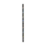Eaton Tripp Lite EVMIGU23A-E 23kVA 24-Outlet Metered PDU 0U Vertical
 | EVMIGU23A-E