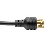 Eaton Tripp Lite P045-010 20A 10 ft C19 to L5-20P Heavy-Duty Power Cord Black
 | P045-010
