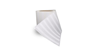 Beontag E61 RFID Wet Inlay (Monza R6-P) | AN891N100