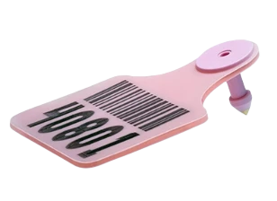 Catalog Only RFID Tags