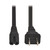 Eaton Tripp Lite P012-006 6 ft Black 2-Slot Power Extension Cord | P012-006