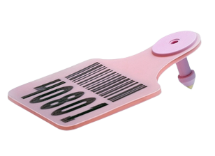 Shop Catalog Only RFID Tags | Expert Support | AtlasRFIDStore.com
