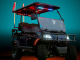 Sparkle & Sound: Fixing Up Your Golf Cart for the 4th of July