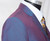wine and blue 2 tone suit