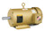 EMM3615 - 3.7KW, 1750RPM, 3PH, 60HZ, D112M, 3642M, TEFC