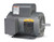 L1321T - 1.5HP, 1725RPM, 1PH, 60HZ, 145T, 3535L, OPEN, F