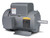 L3507M - .75HP, 1725RPM, 1PH, 60HZ, 56, 3428LC, TEFC, F1