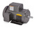 L3515T - 2HP, 3450RPM, 1PH, 60HZ, 145T, 3535L, TEFC, F1