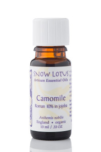 Camomile, Roman Essential Oil 10% in Jojoba - Organic Camomile, Roman Essential Oil 10% in Jojoba - Organic