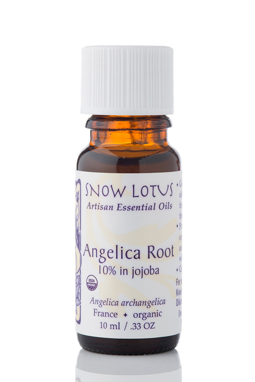 Angelica Root Essential Oil 10% in Jojoba