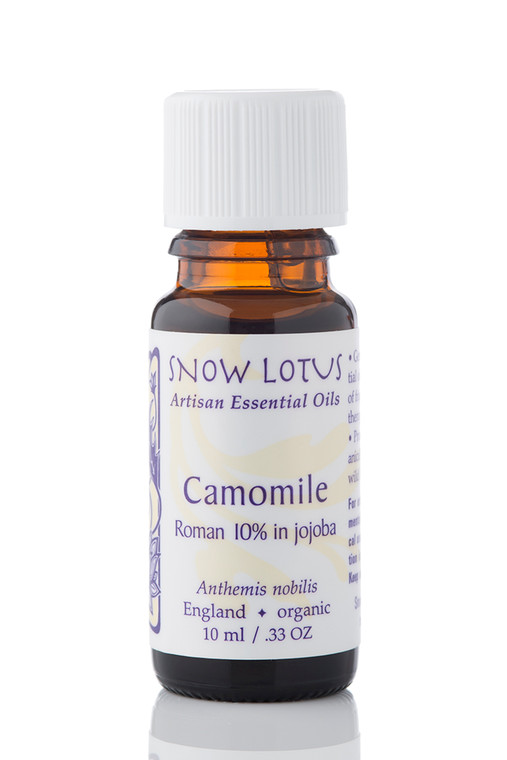 Camomile, Roman Essential Oil 10% in Jojoba - Organic